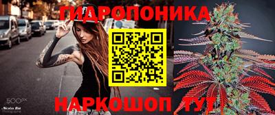индика Ликино-Дулёво