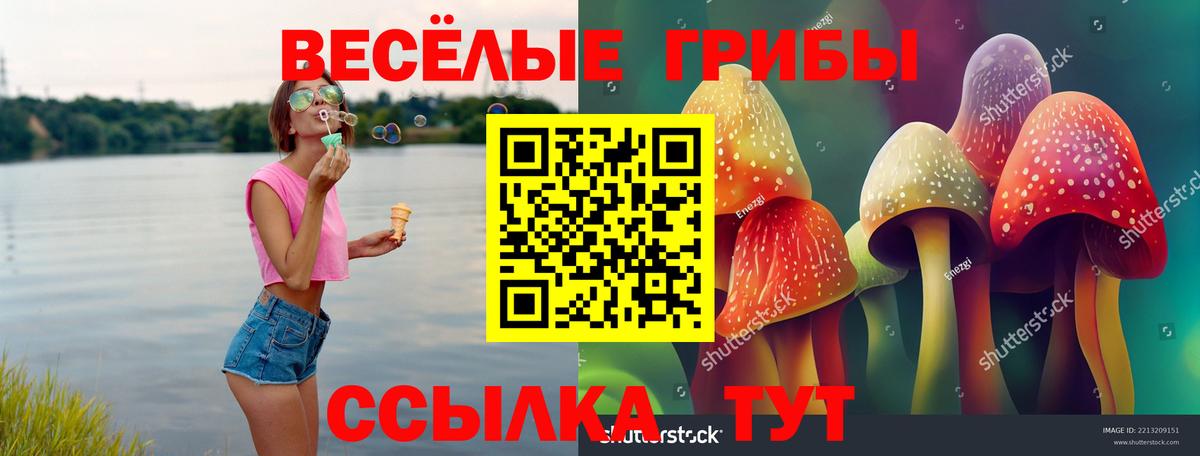 Псилоцибиновые грибы Psilocybe  Вход с VPN  Псилоцибиновые грибы ЛСД  Егорьевск 